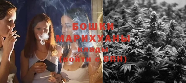 дживик Ладушкин